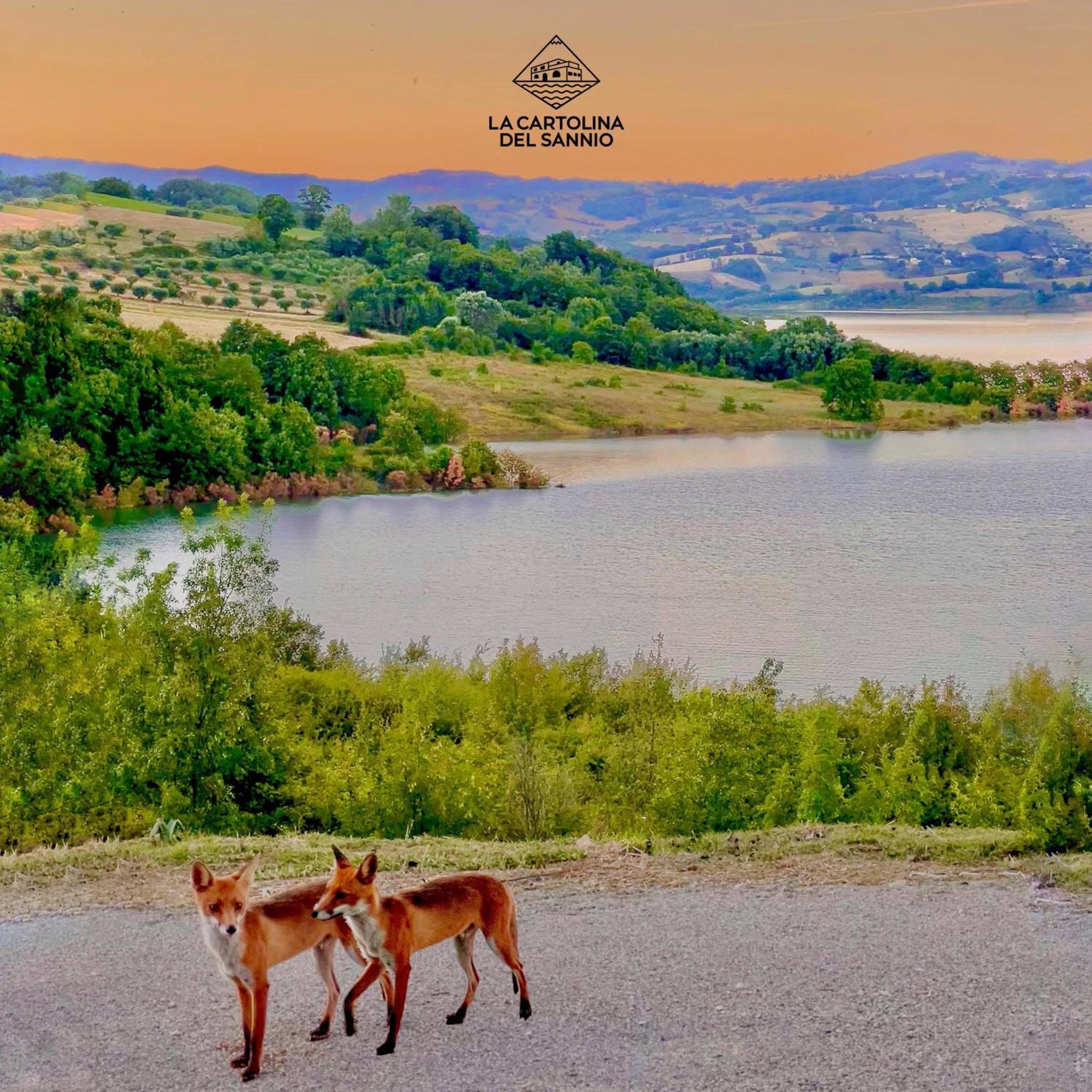 La Cartolina Del Sannio Bed & Breakfast Campolattaro ภายนอก รูปภาพ